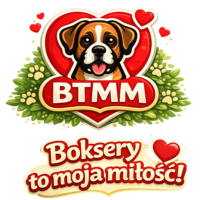 Boksiowo.pl – Boksery to moja miłość