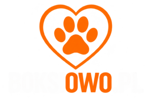 logo Boksiowo