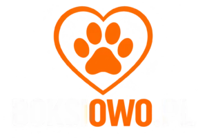 logo Boksiowo