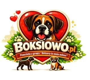 Zdjęcie z serwisu Boksiowo.pl