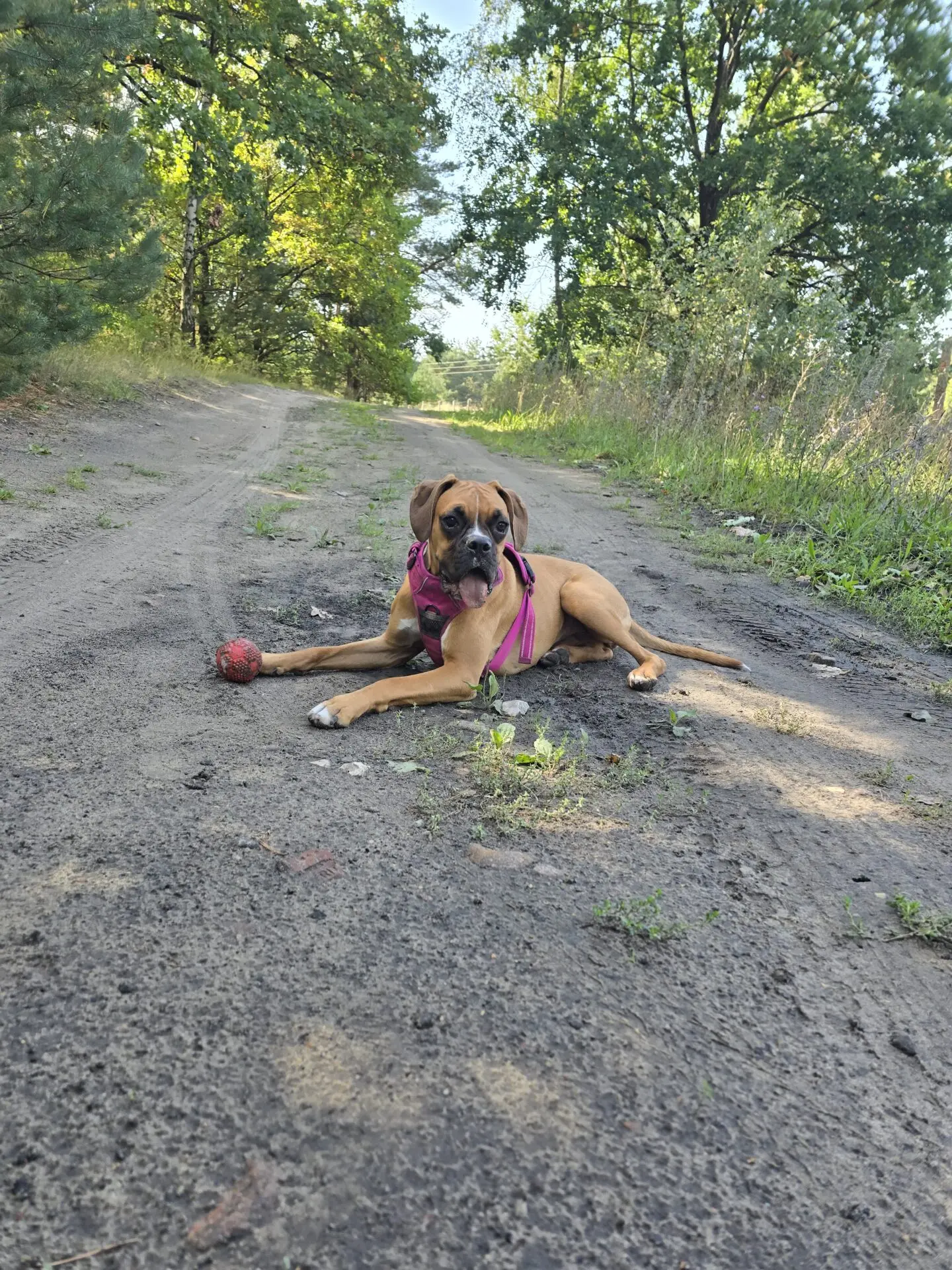 Belle