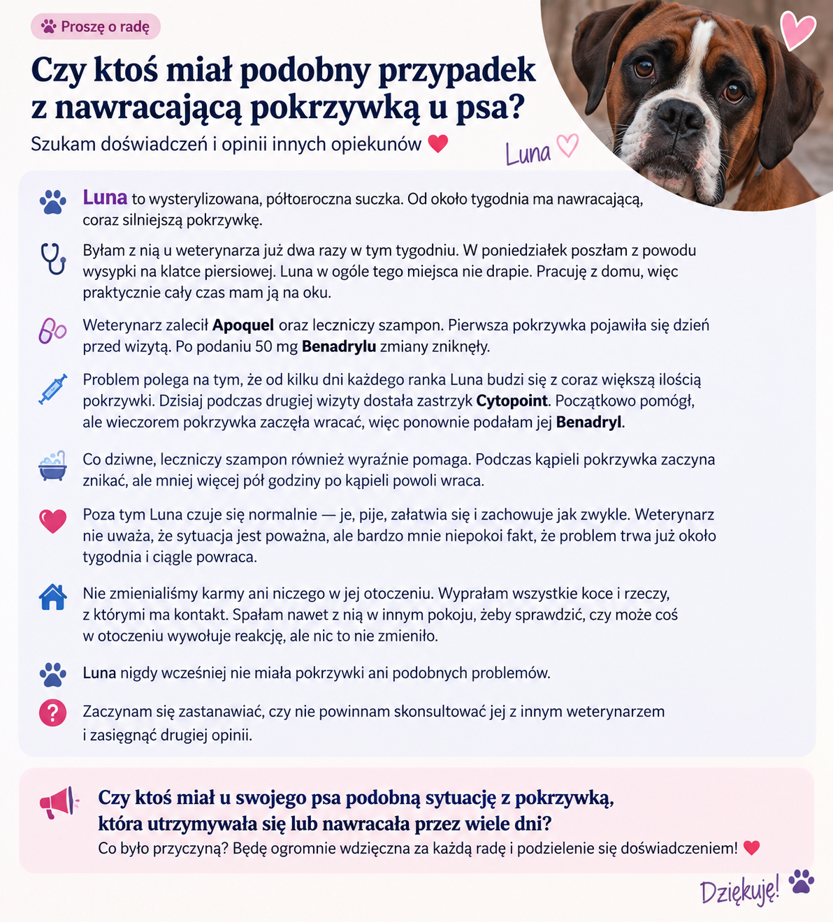 Czy ktoś miał podobny przypadek z nawracającą pokrzywką u psa?