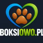 Cropped boksiowo logo dark1 1  .png