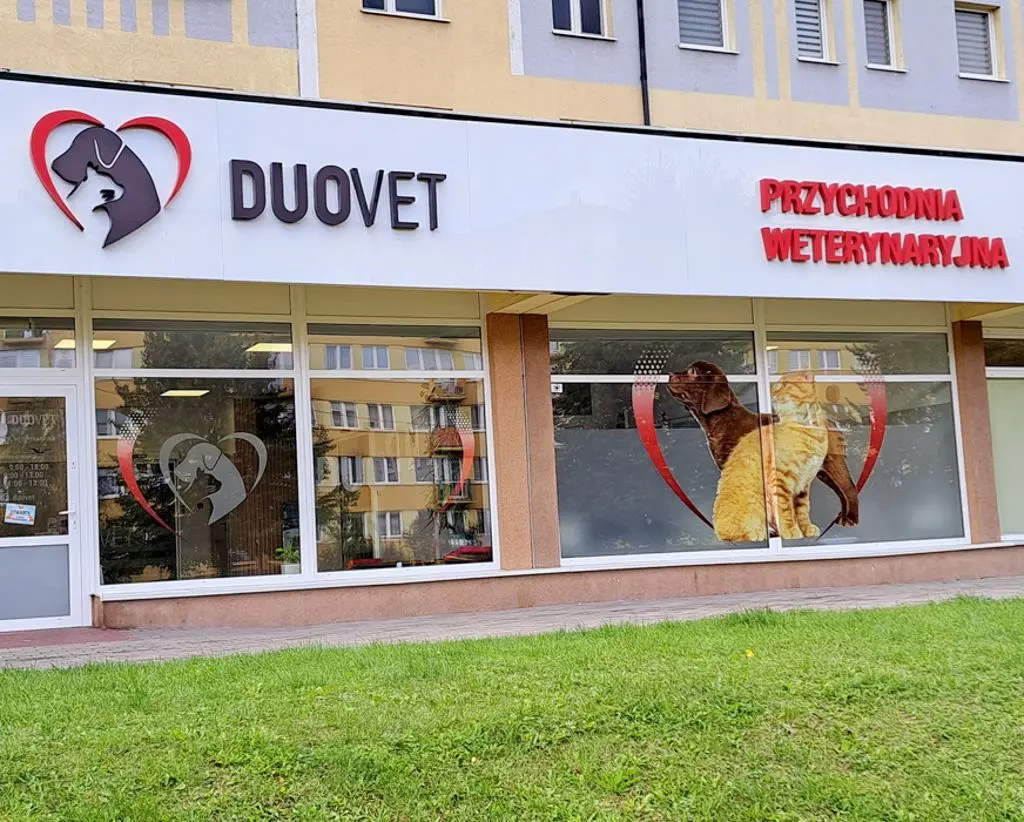 D20ea7d4 bf3a 4155 af22 1baae98fee64 duovet weterynarz kutno 5.jpg