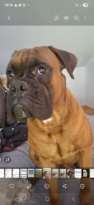 Max