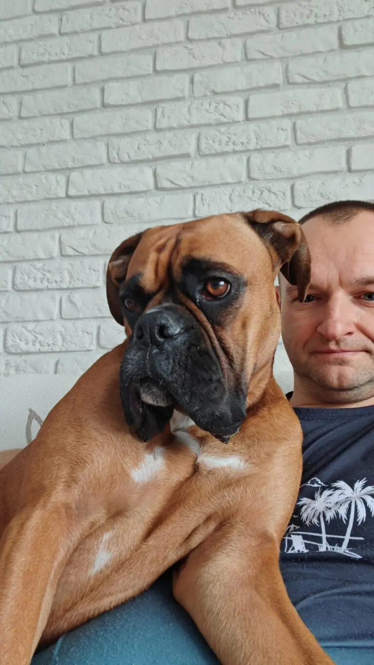 Zdjęcie z serwisu Boksiowo.pl