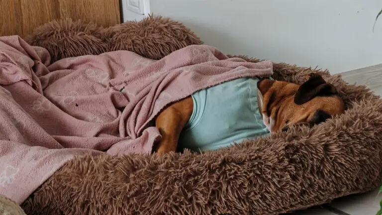 Luna tydzień po zabiegu